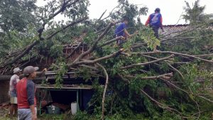 Pohon Besar Tumbang Menimpa Rumah Warga, Seorang Balita Selamat Dari Maut