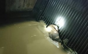 Jasad Rafi Ardika Di Ketemukan Tersangkut Di Pintu Air Sipon Kota Bekasi