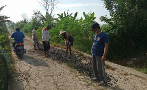 Perbaiki Jalan Rusak, Kades Libatkan Karang Taruna Dan Masyarakat