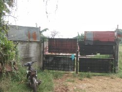 Formalin Desak Pemdes Jejalen Jaya Dan DLH Tutup TPS Ilegal