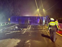 Diduga Hilang Kendali, Bus Pariwisata Terguling Di Tol Cipularang