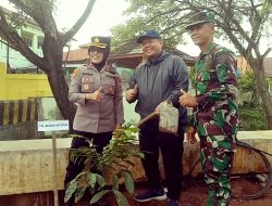 Jaga Kelestarian Alam Dan Cegah Erosi,  Forkopimcam Tambun Utara Tanam 1.000 Pohon Dibantaran Kali Gabus