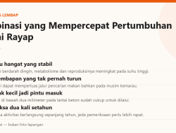 Suhu Panas dan Kelembapan Tinggi: Kombinasi yang Mempercepat Pertumbuhan Koloni Rayap